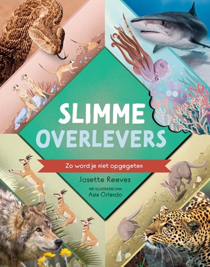 Slimme overlevers, Josette Reeves - Gebonden - 9789464398564
