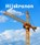Hijskranen, Marian van Gog - Gebonden - 9789464399394