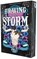 Braving the storm, Elliott Rose - Paperback - 9789464409000