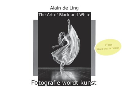 The Art of Black and White 1, Alain De Ling - Gebonden - 9789464433289