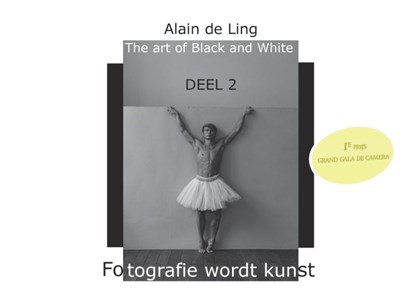 The Art of Black and White 2, Alain De Ling - Gebonden - 9789464433296