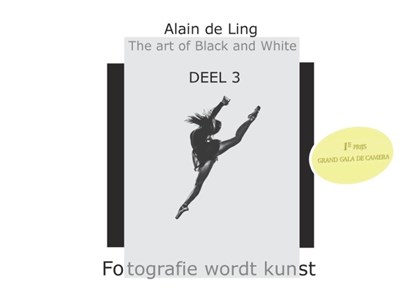 The Art of Black and White 3, Alain De Ling - Gebonden - 9789464433371