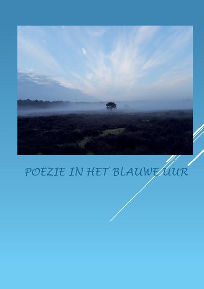 Poëzie in het blauwe uur, Anna van Mansom - Gebonden - 9789464436778