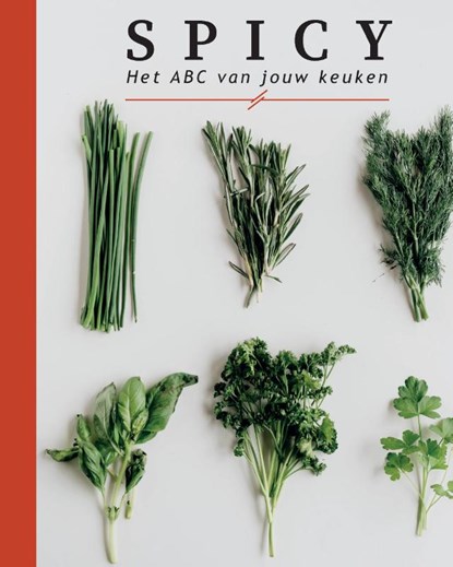 SPICY, Aron Woonink ; Bente Van Oort - Paperback - 9789464438703