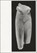 Cycladic Blues, Marlene Dumas ; Roger Willems - Paperback - 9789464460339
