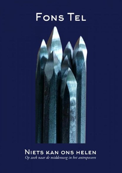 Niets kan ons helen, Fons Tel - Paperback - 9789464480306