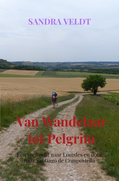 Van Wandelaar tot Pelgrim, Sandra Veldt - Ebook - 9789464481495