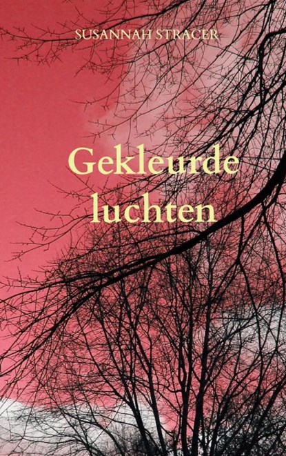 Gekleurde luchten, Susannah Stracer - Paperback - 9789464481976