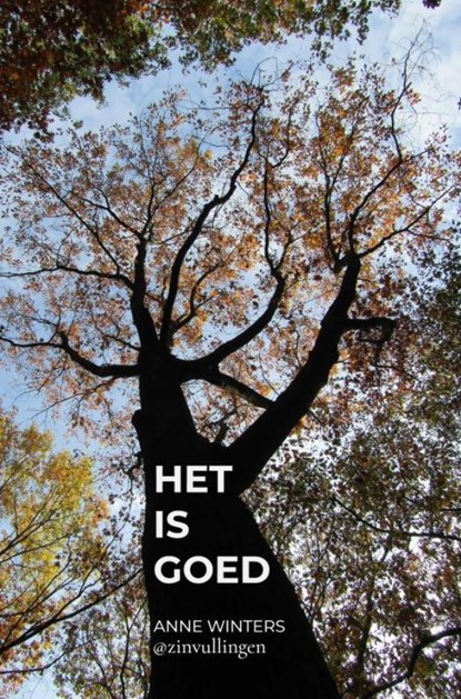 Het is goed, Anne Winters - Paperback - 9789464482157