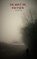 De mist in fietsen, Susannah Stracer - Paperback - 9789464483383