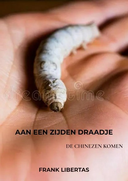 Aan een Zijden Draadje, Frank Libertas - Paperback - 9789464483567