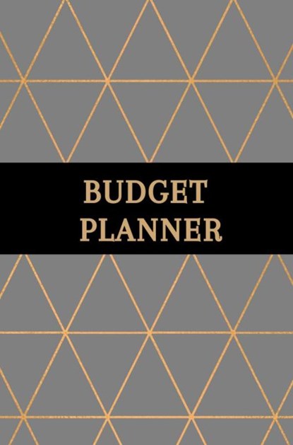 Budget planner - Kasboek - Huishoudboekje - Budgetplanner, Gold Arts Books - Paperback - 9789464483901