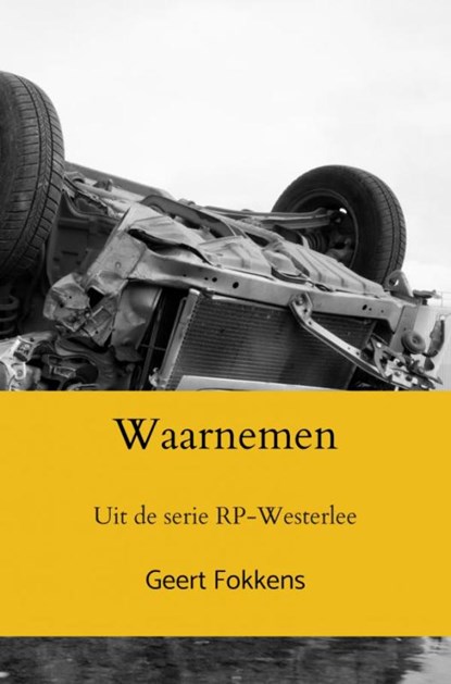 Waarnemen, Geert Fokkens - Paperback - 9789464485639