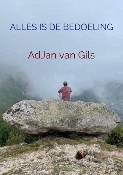 Alles is de bedoeling, Adjan Van Gils - Paperback - 9789464486797