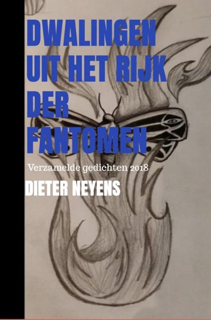 Dwalingen uit het rijk der fantomen, Dieter Neyens - Paperback - 9789464486933