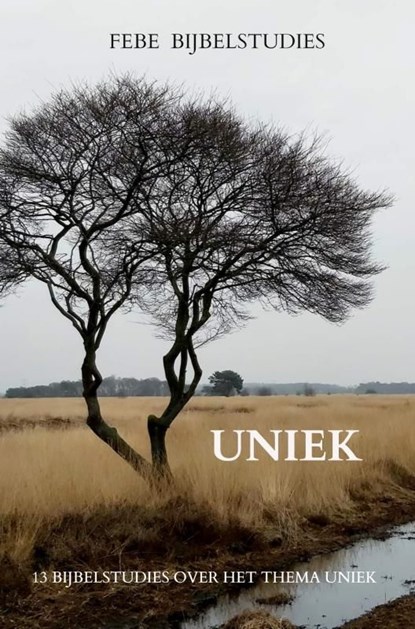 Uniek, Febe Bijbelstudies - Ebook - 9789464487091