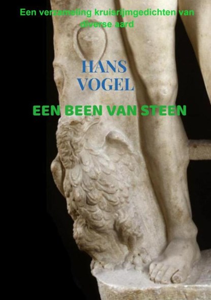 Een been van steen, Hans Vogel - Paperback - 9789464488272