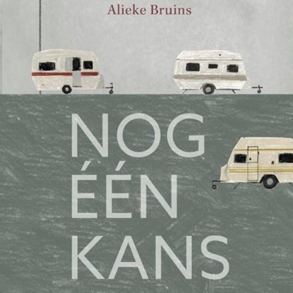 Nog één kans, Alieke Bruins - Luisterboek MP3 - 9789464490053