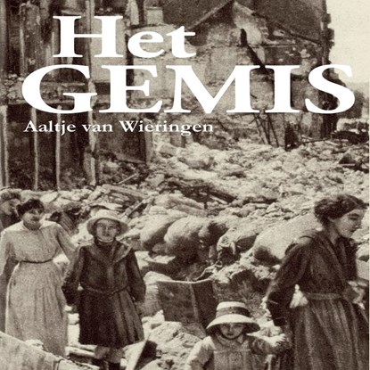 Het gemis, Aaltje van Wieringen - Luisterboek MP3 - 9789464490145