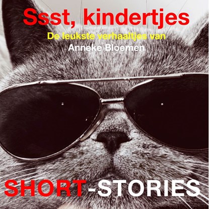 Ssst, kindertjes, Anneke Bloemen - Luisterboek MP3 - 9789464490251