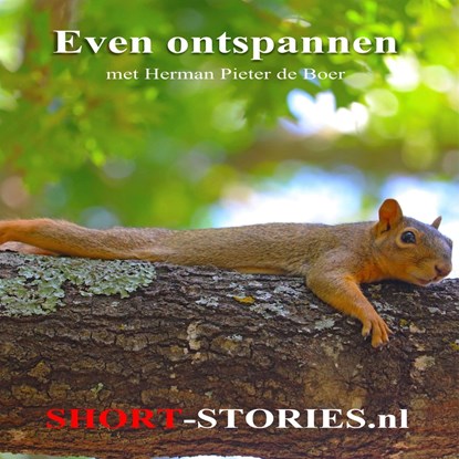 Even ontspannen, Herman Pieter de Boer - Luisterboek MP3 - 9789464490725
