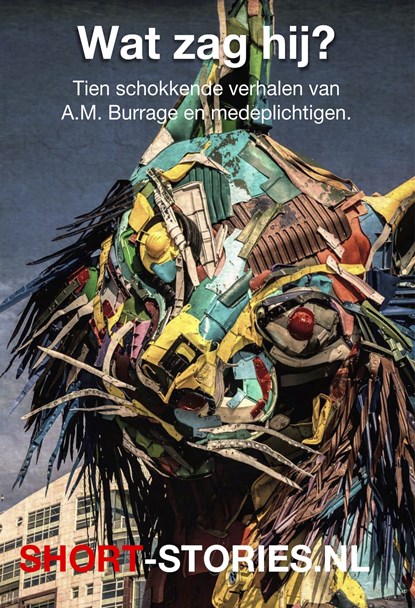 Wat zag hij?, A.M. Burrage ; André Maurois ; Anton Tsjechov ; Eddy C. Bertin ; Edward Bulwer-Lytton - Ebook - 9789464495232