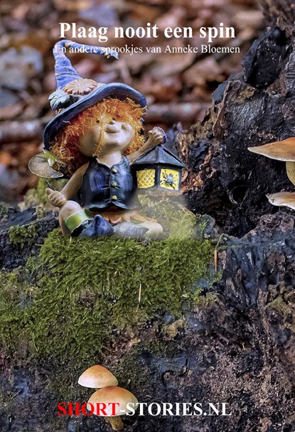 Plaag nooit een spin, Anneke Bloemen - Ebook - 9789464499261