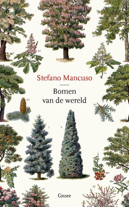 Bomen van de wereld, Stefano Mancuso - Paperback - 9789464520033