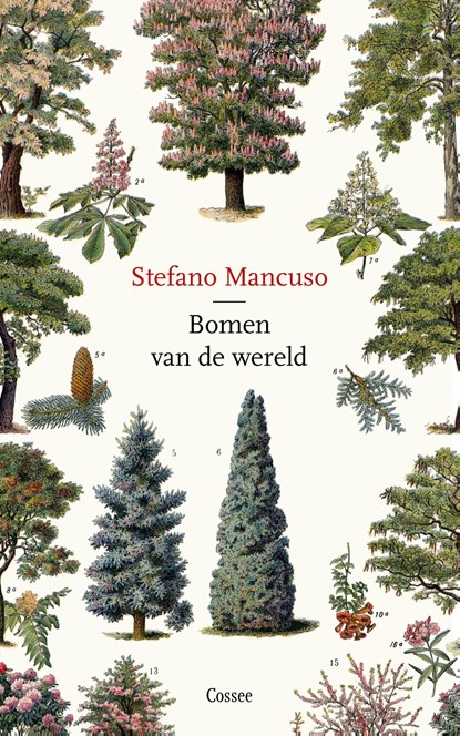 Bomen van de wereld, Stefano Mancuso - Ebook - 9789464520040