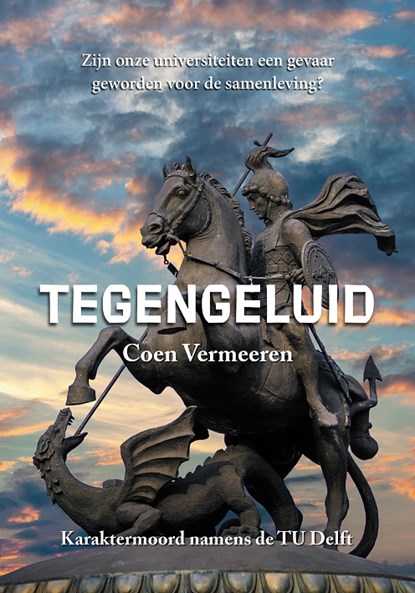 Tegengeluid, Coen Vermeeren - Gebonden - 9789464610741