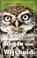 Wegen van Wijsheid, Bart Nooteboom - Paperback - 9789464628715