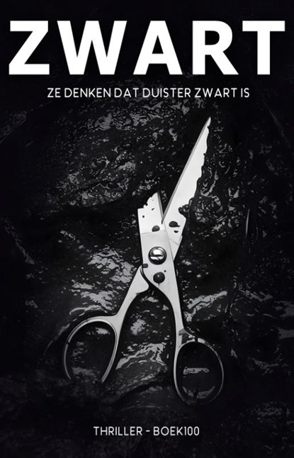 Zwart, Ronald van Assen - Paperback - 9789464642865