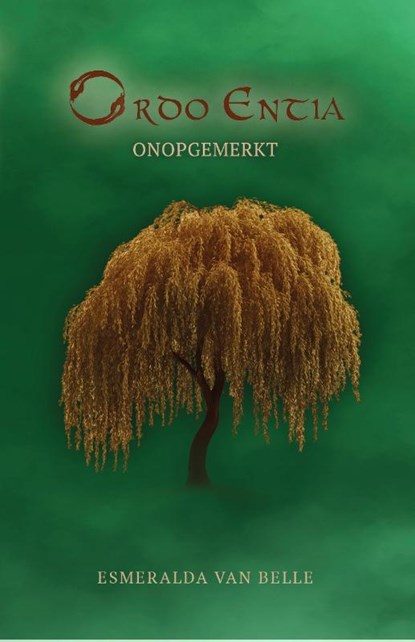 Onopgemerkt, Esmeralda van Belle - Paperback - 9789464643404