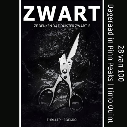 Dageraad in Pinn Peaks, Timo Quint - Luisterboek MP3 - 9789464643978