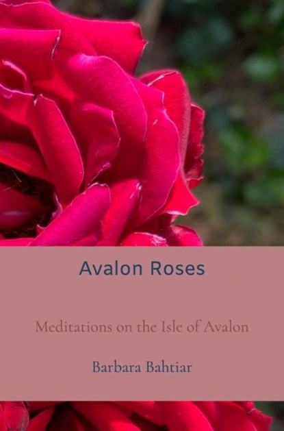 Avalon Roses, Barbara Bahtiar - Paperback - 9789464650921