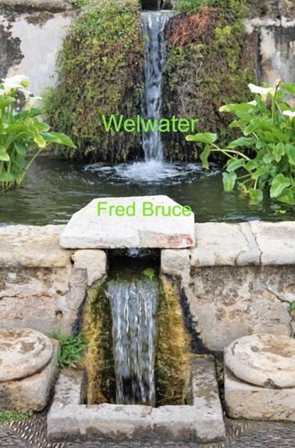 Welwater, Fred Bruce - Paperback - 9789464651423