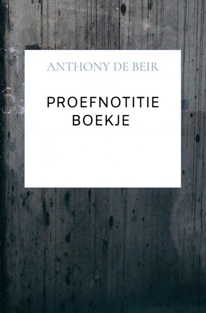 Proefnotitie Boekje, Anthony De Beir - Paperback - 9789464652741