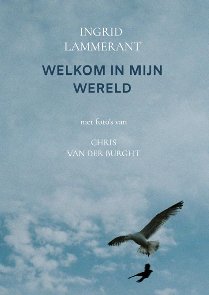Welkom in mijn wereld, Ingrid Lammerant - Paperback - 9789464655483