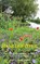 Haar Dochter, Sylvia Wingelaar-Regter - Paperback - 9789464655650