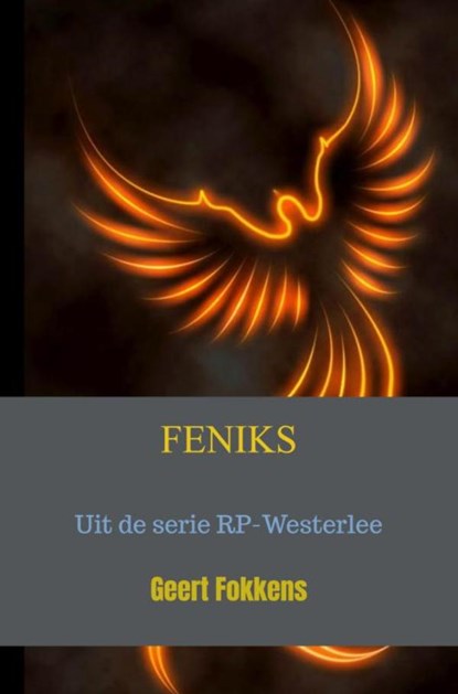FENIKS, Geert Fokkens - Paperback - 9789464656114