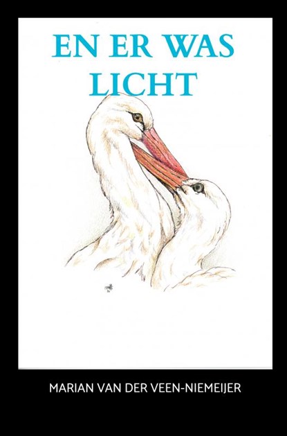 En er was licht, Marian van der Veen-Niemeijer - Paperback - 9789464656848