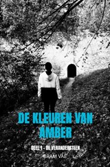 De kleuren van Amber - Bram Vae - 9789464658934