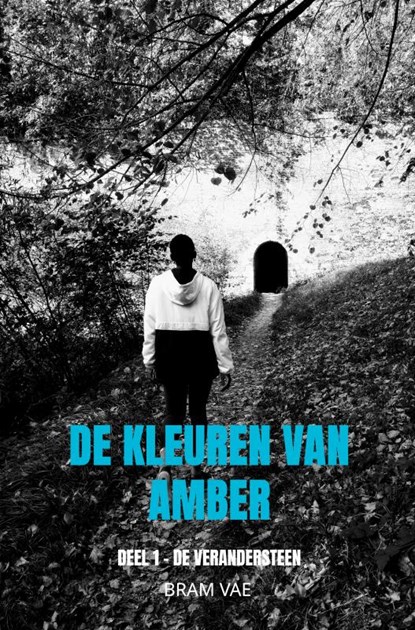 De kleuren van Amber, Bram Vae - Paperback - 9789464658934