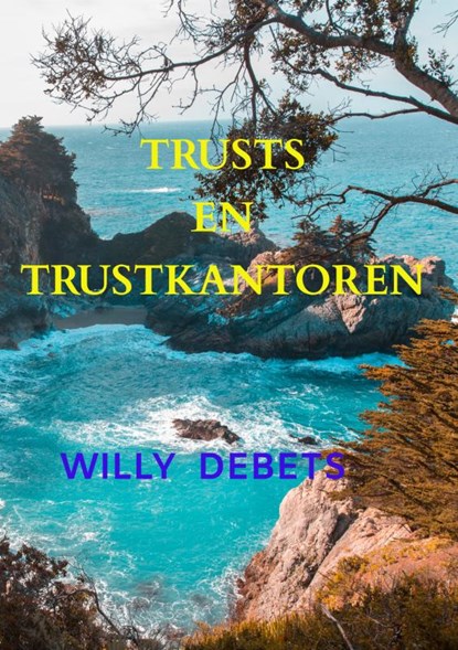 Trusts en Trustkantoren, Willy Debets - Paperback - 9789464659597