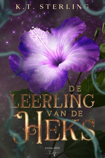 De leerling van de Heks, K.T. Sterling - Gebonden - 9789464661866