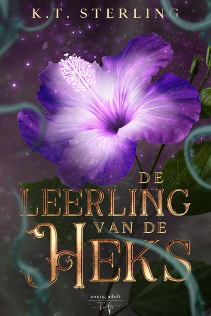 De leerling van de heks, K.T. Sterling - Ebook - 9789464661873