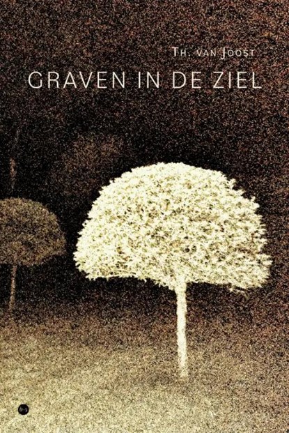 Graven in de ziel, Theodoor van Joost - Paperback - 9789464687491