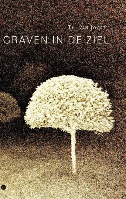 Graven in de ziel, Theodoor van Joost - Gebonden - 9789464687507
