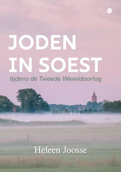 Joden in Soest tijdens de Tweede Wereldoorlog, Heleen Joosse - Paperback - 9789464688375