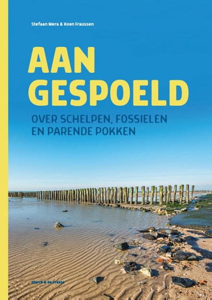 Aangespoeld, Stefaan Wera ; Koen Fraussen - Paperback - 9789464710007